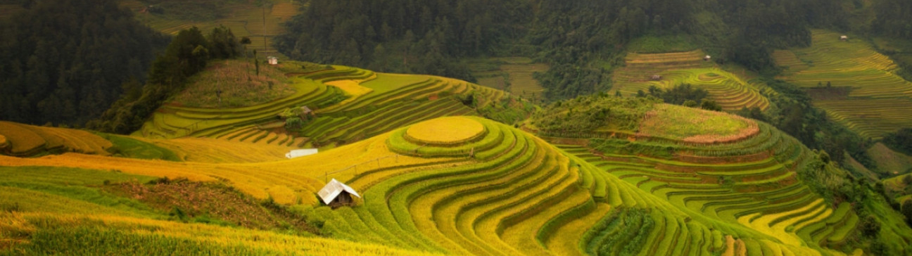 Thiết kế website du lịch chuyên nghiệp – Việt Nam Insolite Voyage