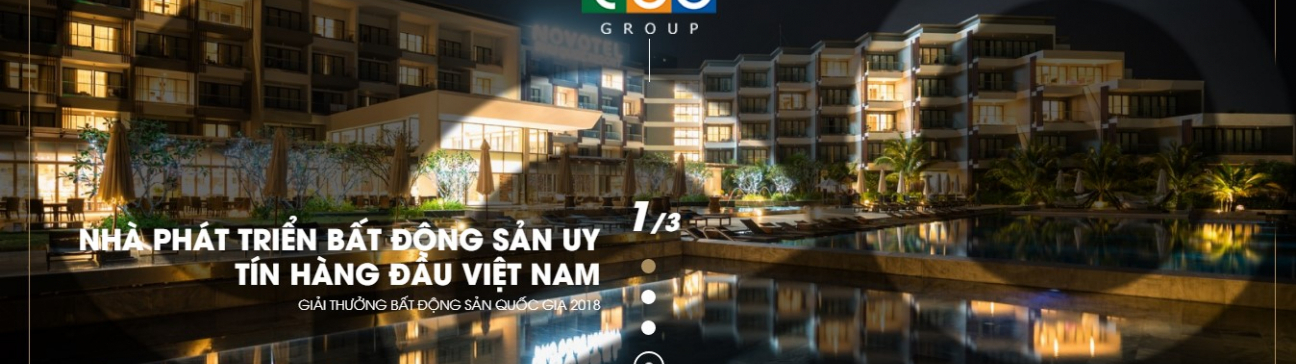 Thiết kế website doanh nghiệp bất động sản CEO Group