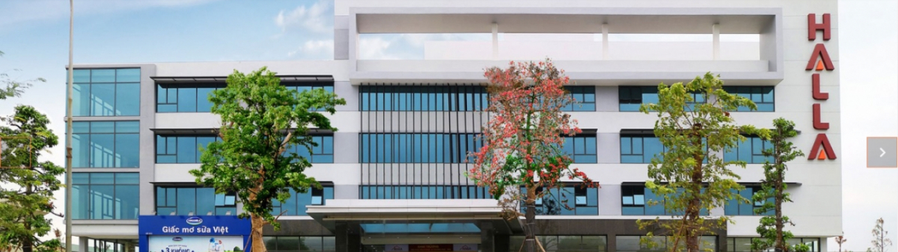 Thiết kế website theo yêu cầu - Halla Building